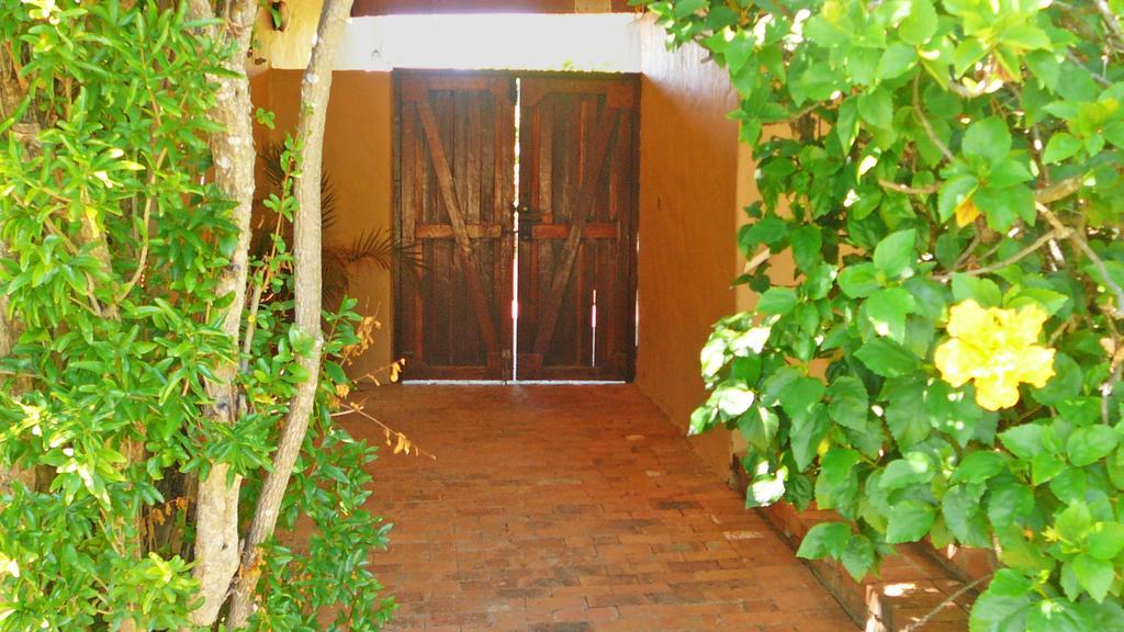 Vineyards Country Home Guest Room Blomtuin Luaran gambar
